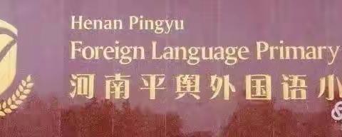 妙笔挥洒，传承文化——平舆县外国语第八届学生硬笔书法比赛