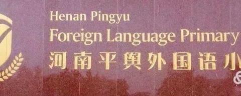 泼墨造物，笔下生花——平舆县外国语小学2023——2024学年度三年级硬笔书法社团成果汇报