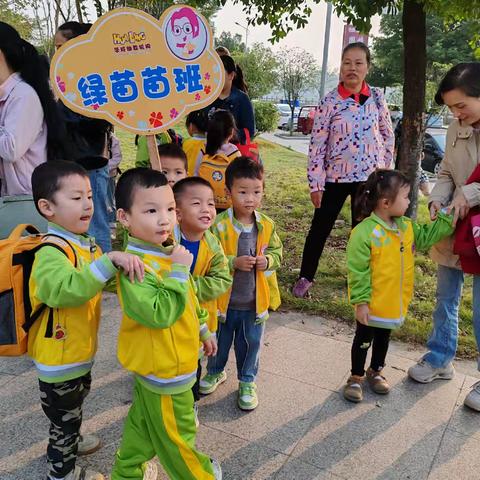 秋游季，记秋游🍂---华玲茶江桥幼儿园绿苗苗班秋游活动