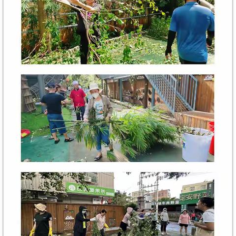 风雨同舟，齐建家园——海口市龙华区中心幼儿园开展台风“摩羯”灾后重建工作