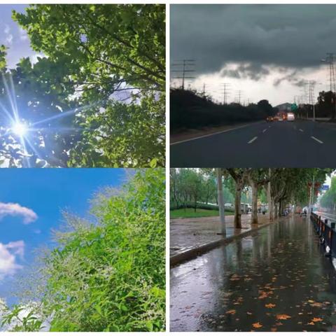 阅读润心，书香启智 —第三实验小学《好天气和坏天气》阅读指导课