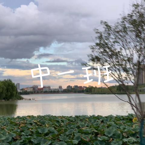 是快乐鸭❣️～