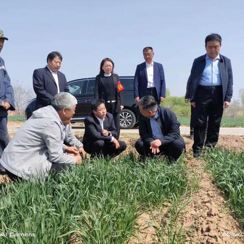 国家统计局山西调查总队莅临黎城县调研秋播小麦种植情况