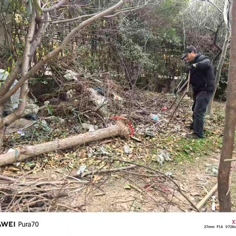 扫净落叶焕新颜，守护绿意美家园——小区绿化带落叶杂物清理行动纪实