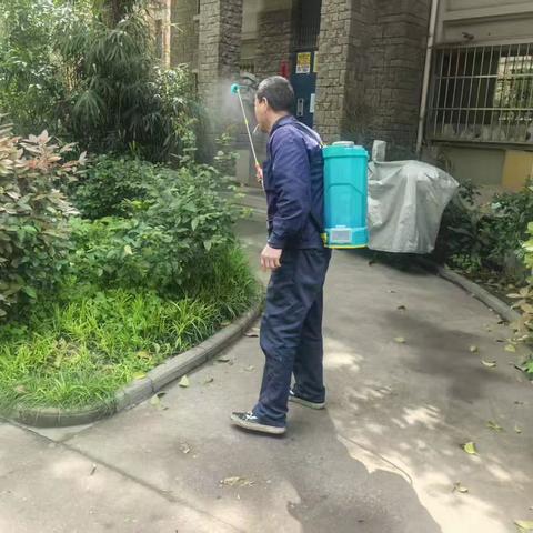 共建健康城镇 共筑健康防线