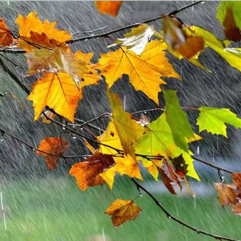 雨：三喜三恶之感