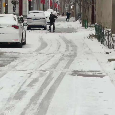 以“雪”为令，以“动”制“冻”