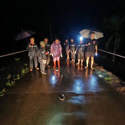 《风雨中的守护：友爱村委会水路洋路段的温暖行动》