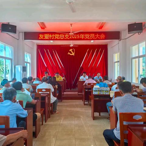 友爱村召开全体党员大会暨开展庆“七一”党日活动