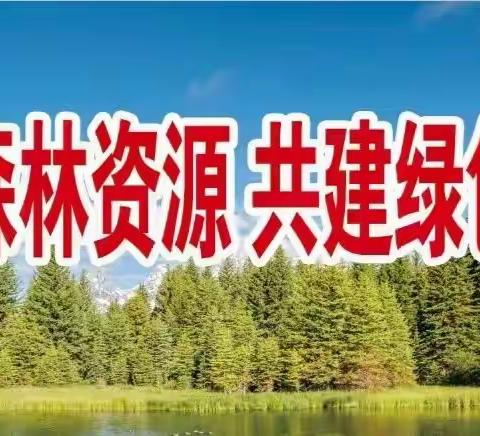 以赛促训练强兵——古中林场开展森林防火技能大比武活动