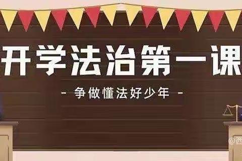 阳光校园  德法共建——双庙乡湾张中心小学2023年秋季开学法治教育第一课活动