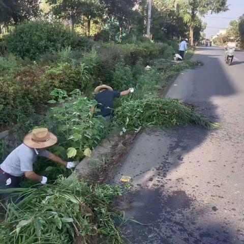 精心组织  着力推进清漂工作