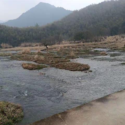 五水共治显成效   水库巡查守护绿水青山