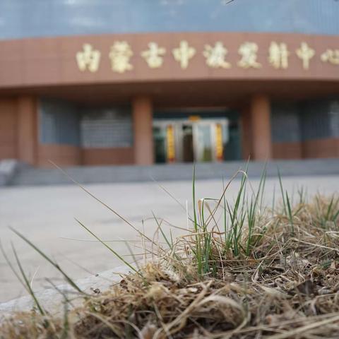 风采展示——春日奋斗者