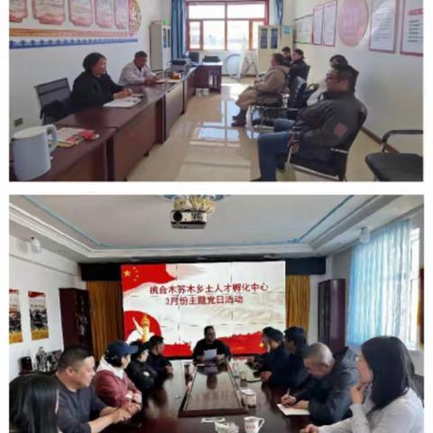 【组工信息】桃合木苏木党组织积极开展主题党日活动