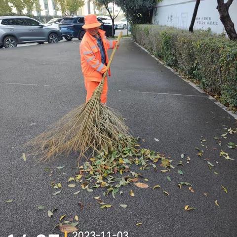 鱼化区域环卫保洁简报