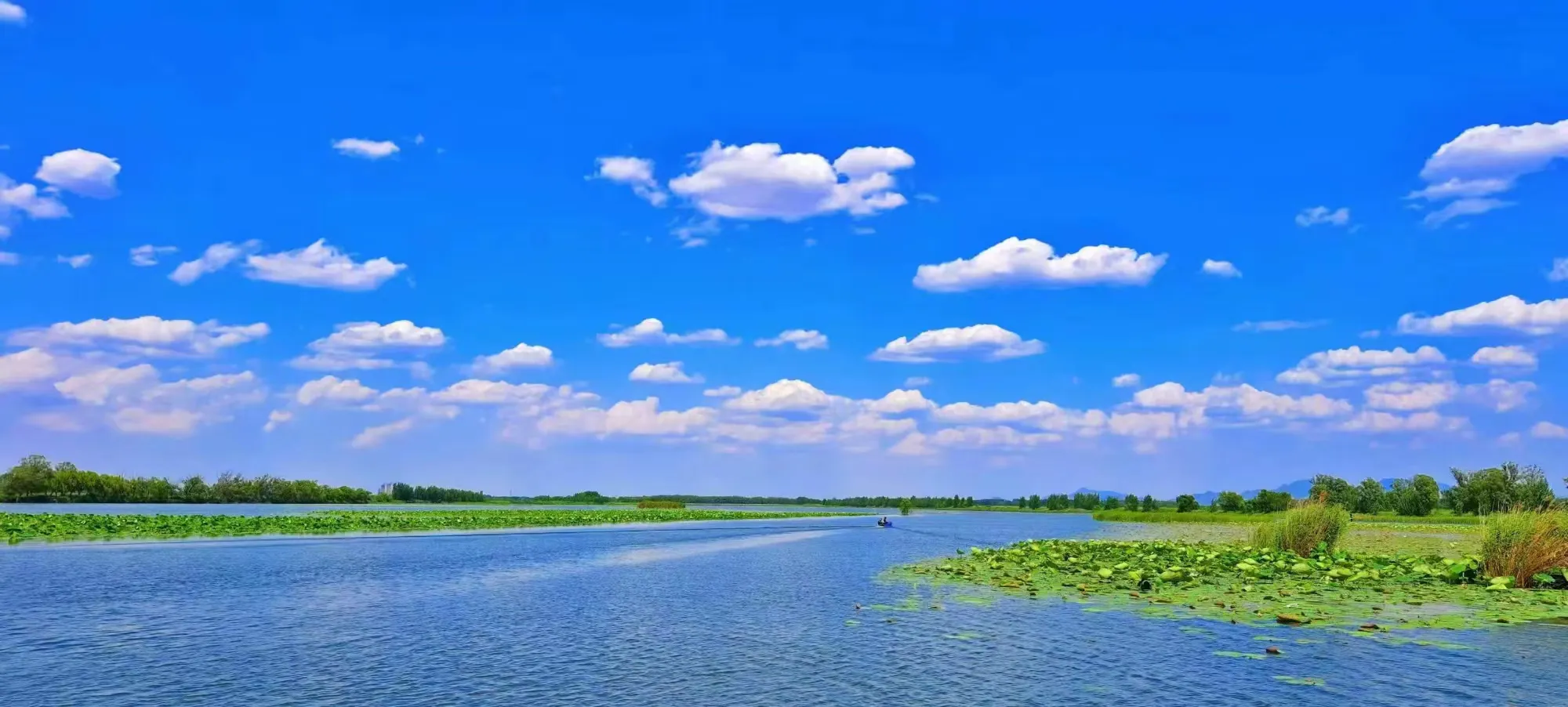 简篇-来一场感悟文史钩沉的体育嘉年华!