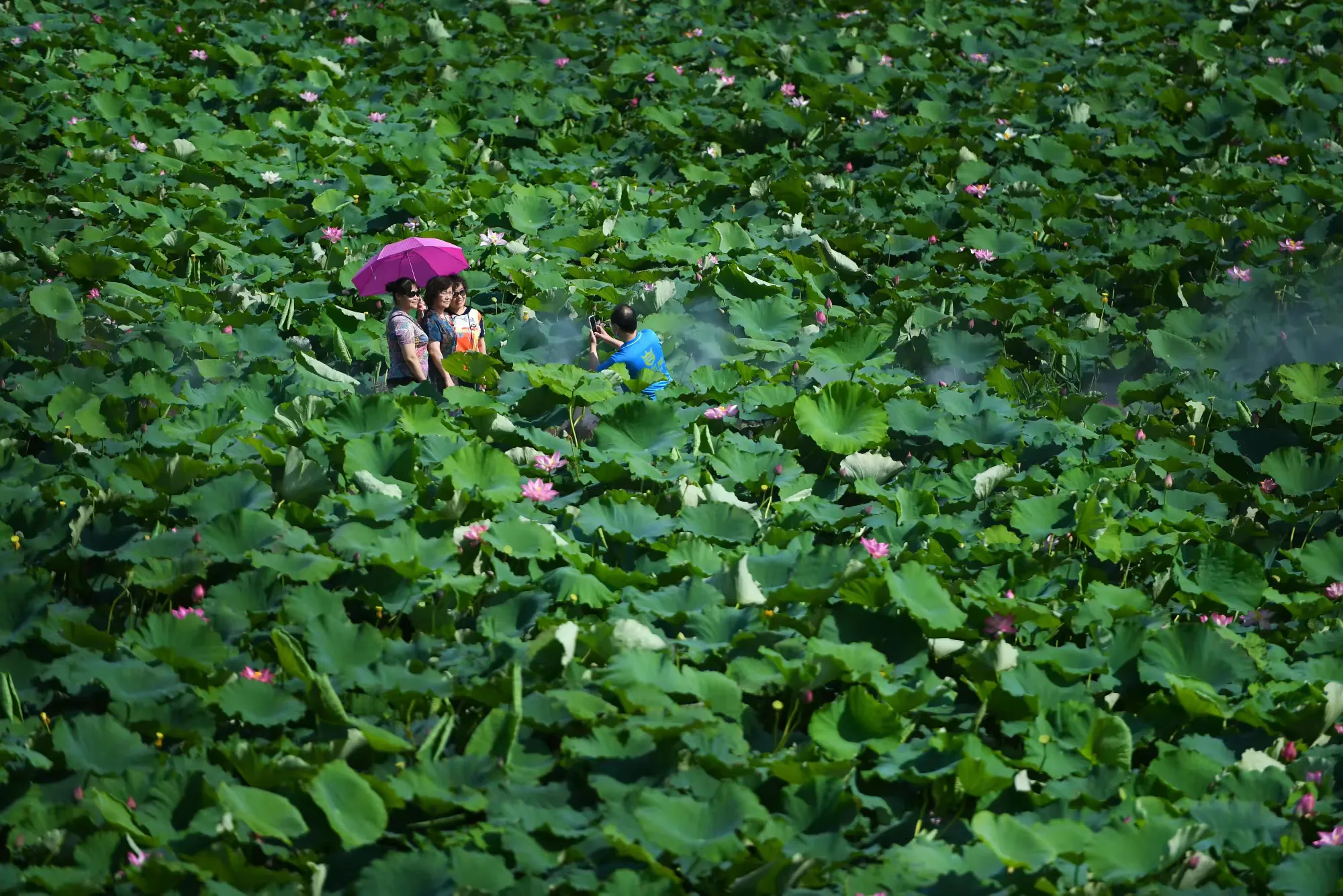 简篇-来一场感悟文史钩沉的体育嘉年华!