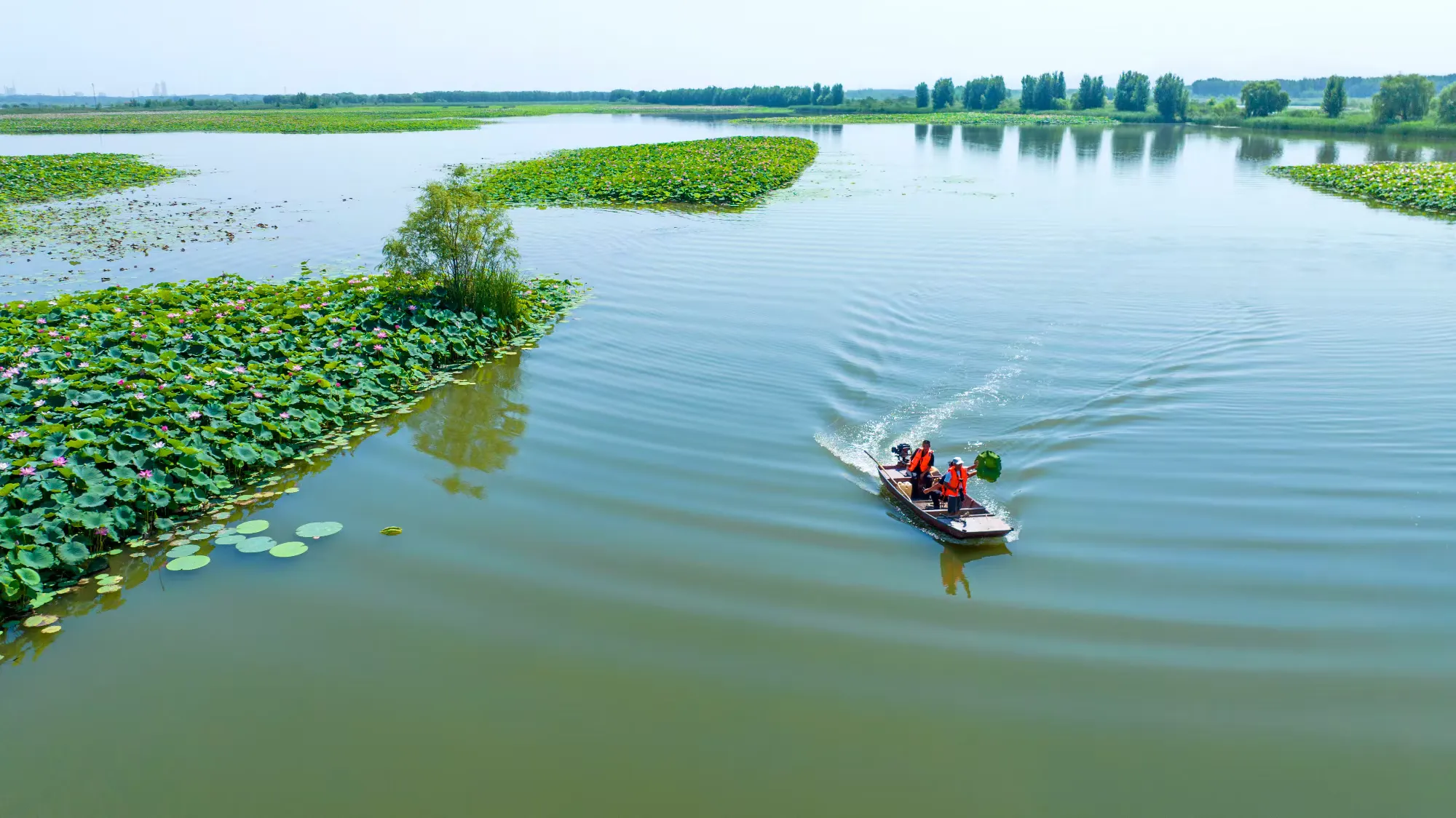 简篇-来一场感悟文史钩沉的体育嘉年华!