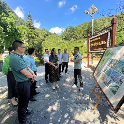 【乐居甸柳】携手振兴路 行满武隆情── 甸柳新村街道代表团赴重庆市武隆区对接鲁渝协作工作