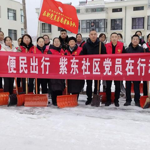 “党建引领促安全，齐心协力除冰雪”——青羊镇紫东社区开展党员志愿服务活动