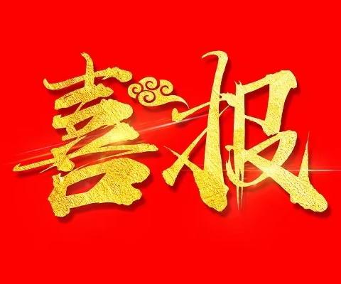 喜报：心系安全，共筑平安校园——安巢经开区丽晶华庭幼儿园荣获“平安校园”荣誉称号