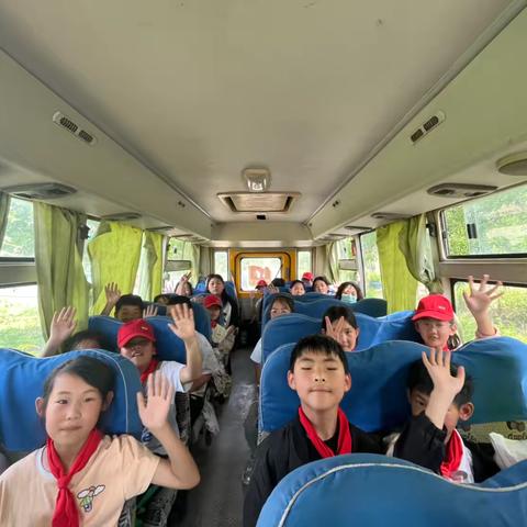 探究盐碱地上的奥秘