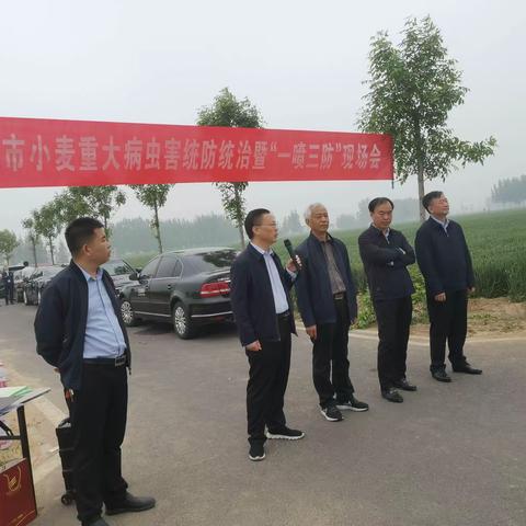 濮阳市召开2023年小麦重大病虫统防统治暨“一喷三防”现场观摩会