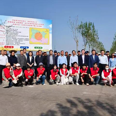 清丰县农技推广在行动