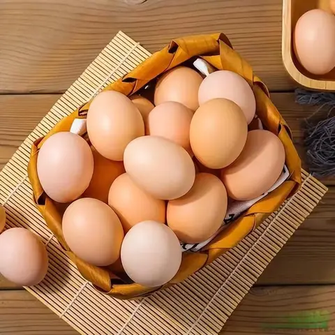 食育润童心，巧手做佳肴——五年级巧手制作木须鸡蛋，解锁劳动小技能