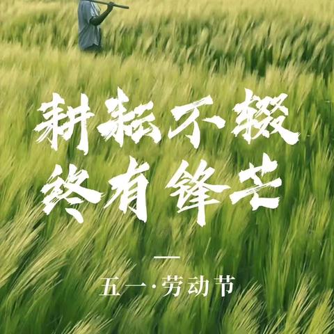 “劳”以启智，“动”以润心 四年级组五一劳动综合实践