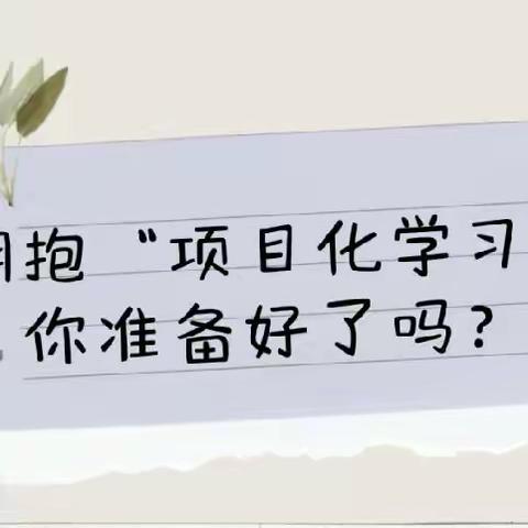 敲“项目化学习”之门，行“项目化教学”之路——丛台小学教师寒假项目化研讨活动