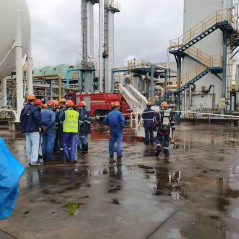 隆惠公司海南分公司全力抵御台风“摩羯” 圆满完成抢修