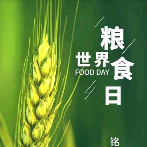 珍惜粮食，从我做起——单县人民路小学主题教育班会