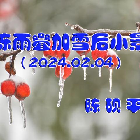 冻雨叠加雪后的景色