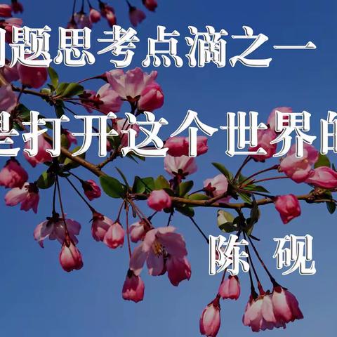 认知是打开这个世界的钥匙