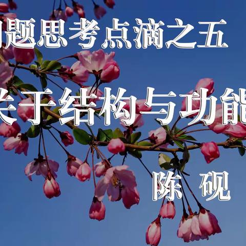 关于结构与功能