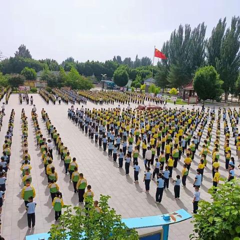 优化作业设计，提升核心素养