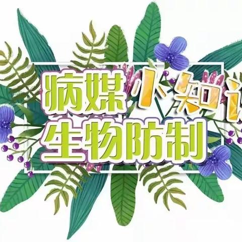 阳光幼儿园病煤生物防治小知识宣传