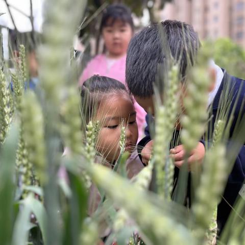 遇见春意美好时光————永兴幼儿园中二班特色食育主题课程