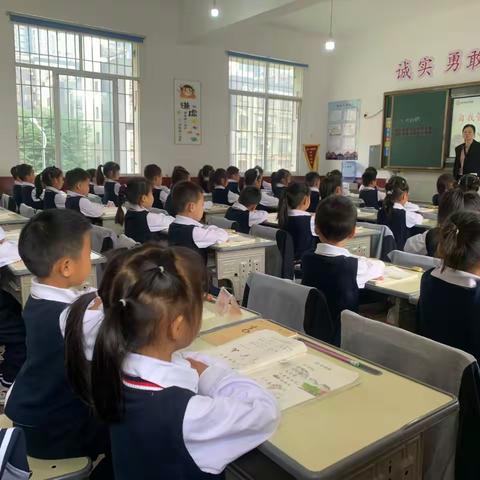 子敬小学2314班11月份活动总结