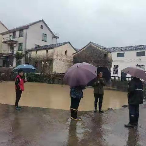 暴雨巡查