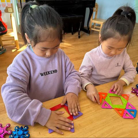 高唐县第一实验幼儿园滨湖分园科学探究活动  好玩的磁铁