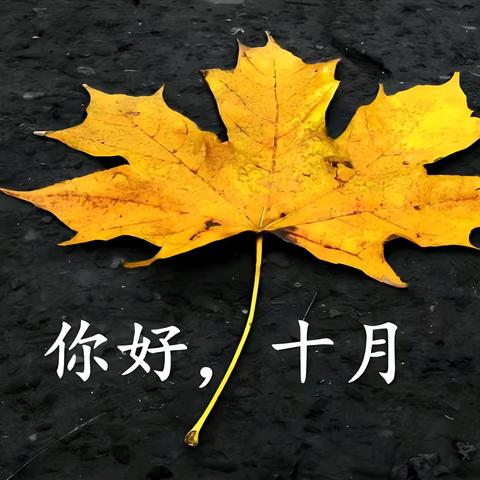 第一项目10月工作汇报（10月份月报）