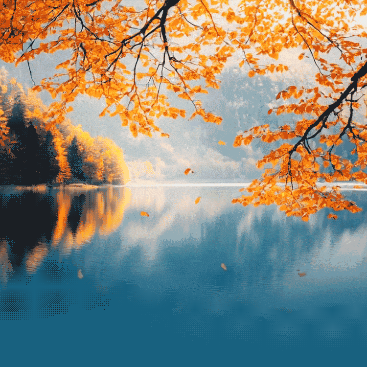 雨幕中的灼灼韶华 ——孙集二中毕业班国庆居家训练纪实