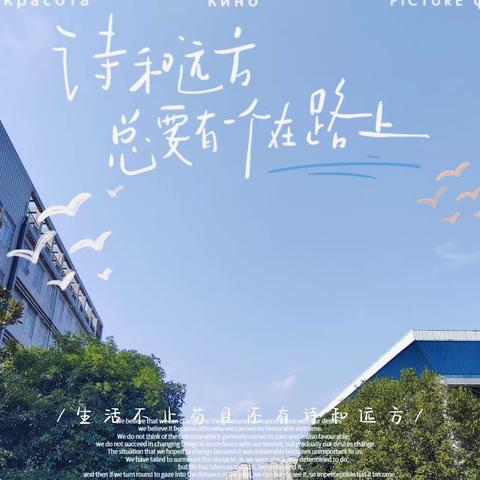 向阳盛开的花朵们 ——208班十一月生活集锦