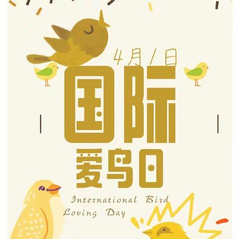 江岸区实验澜岸幼儿园小四班——关爱生灵，保护鸟类