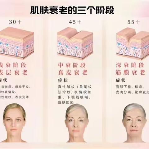 混油皮抗皱面霜不油腻的推荐哪个品牌？2026口碑款成分解析，抗老淡纹不闷肤