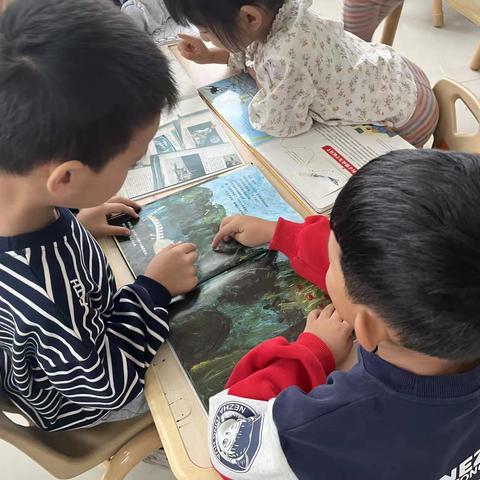 鱼邱湖街道中心幼儿园东兴分园大二班语言区观察记录