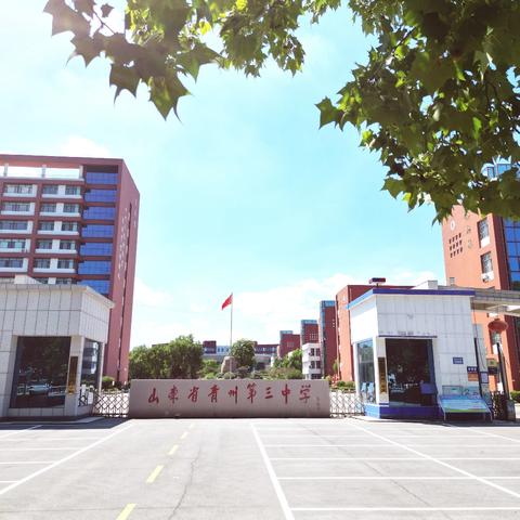 不负热爱，向风而行﻿ ﻿——带你沉浸式体验﻿青州三中学子的一天